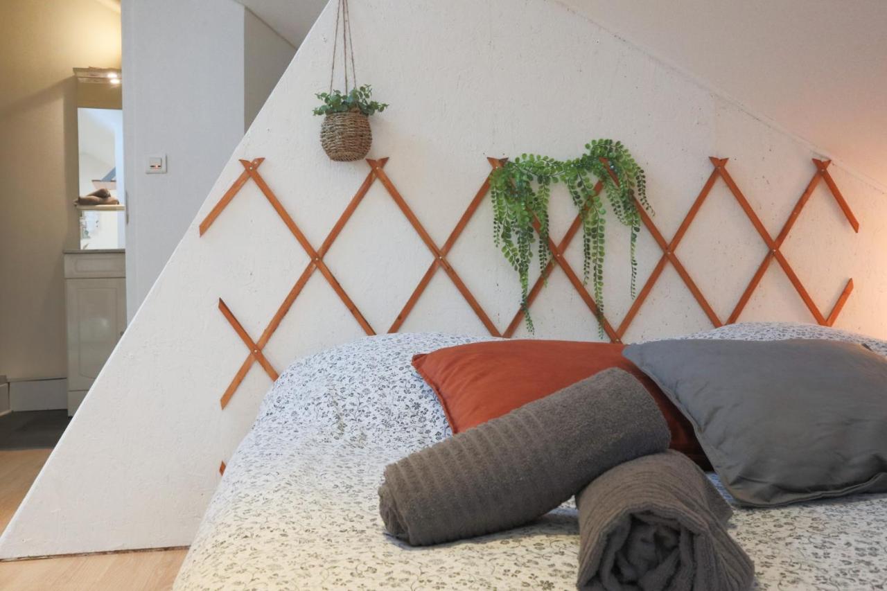 Le Petit Loft, Mulhouse Centre Apartman Kültér fotó