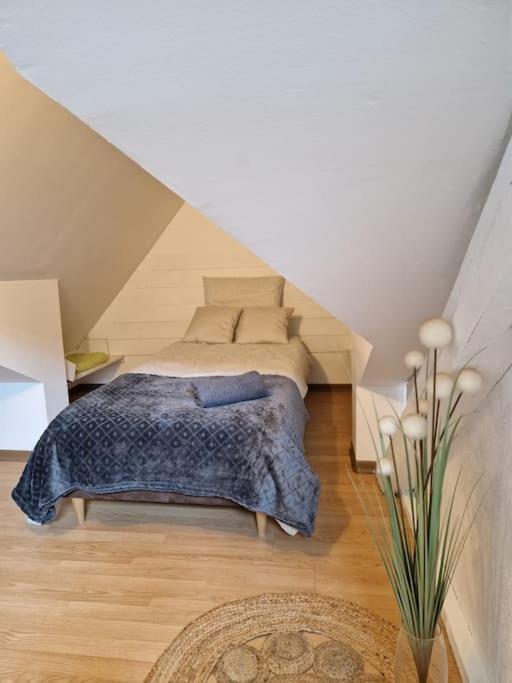 Le Petit Loft, Mulhouse Centre Apartman Kültér fotó