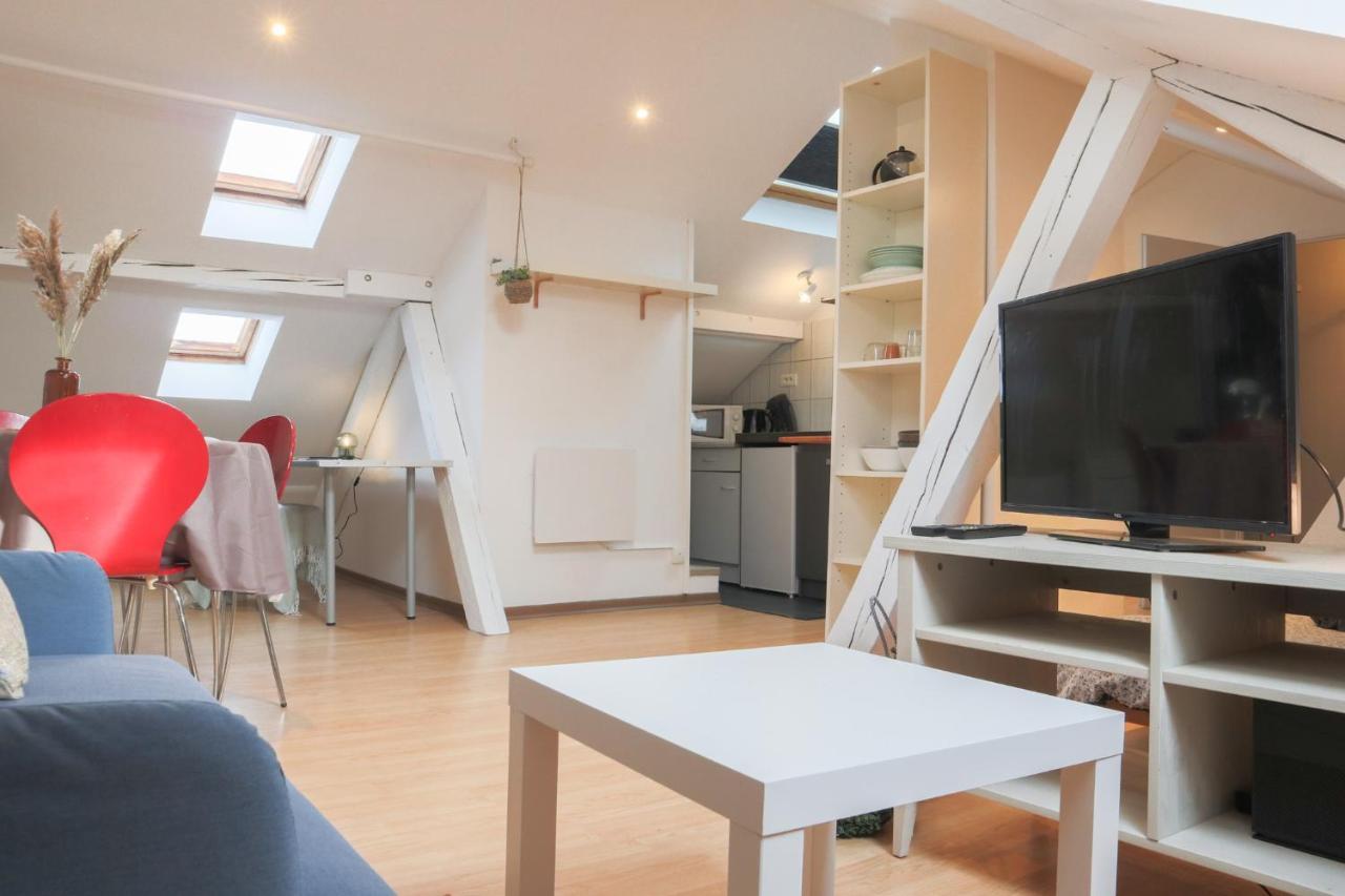 Le Petit Loft, Mulhouse Centre Apartman Kültér fotó