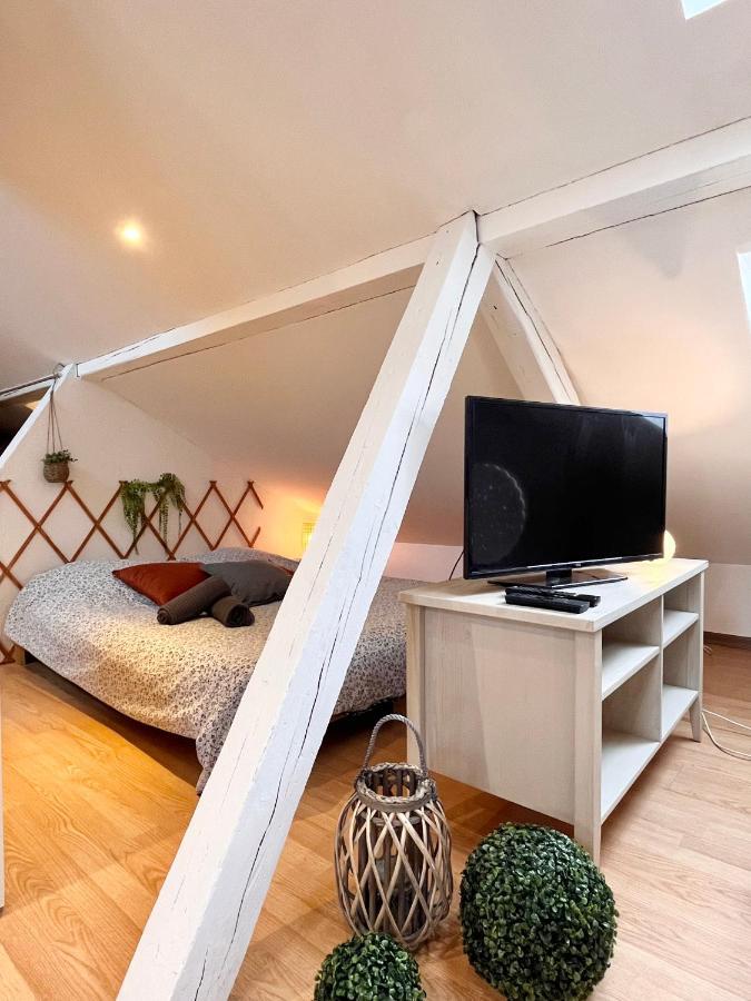 Le Petit Loft, Mulhouse Centre Apartman Kültér fotó